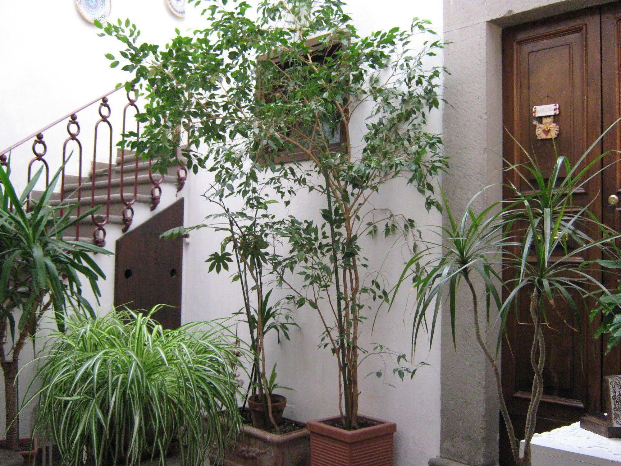Bb Santa Rosa Bed & Breakfast วิแตร์โบ ภายนอก รูปภาพ